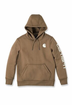 Carhartt RELAXED FIT MIDWEIGHT LOGO SLEEVE GRAPHIC SWEATSHIRT