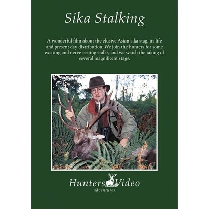 Sika stalking